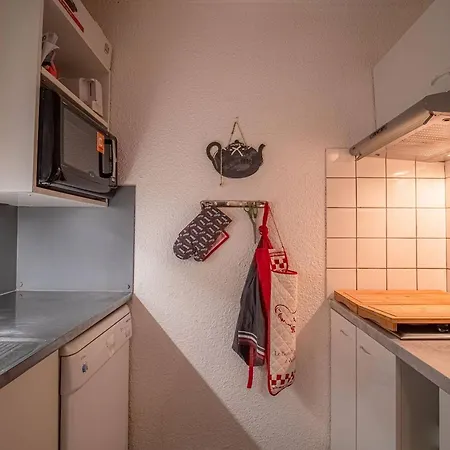 - 2 Pieces Avec Balcon, Acces Pistes Et Animaux Admis - Fr-1-356-494