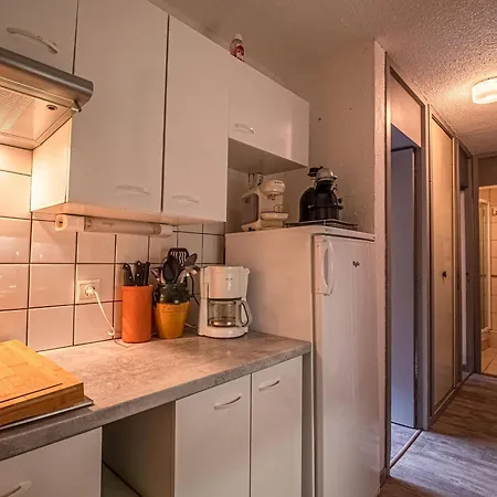 - 2 Pieces Avec Balcon, Acces Pistes Et Animaux Admis - Fr-1-356-494 Apartamento *